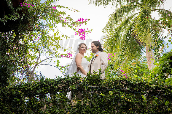 317-Daniel + Daniella Wedding