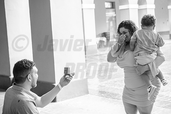011-Daniel Proposal