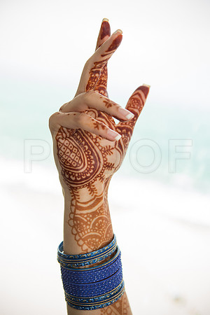 Tincy Henna-126