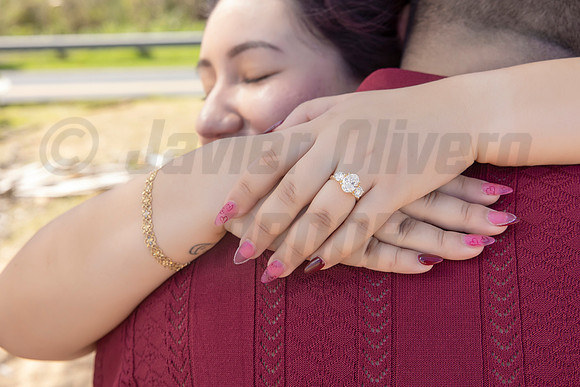 246-Paulina & Brian Proposal