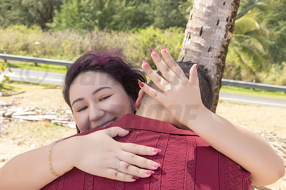 250-Paulina & Brian Proposal