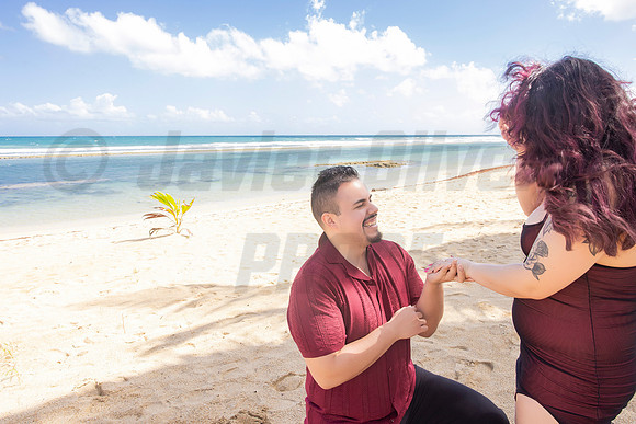 235-Paulina & Brian Proposal