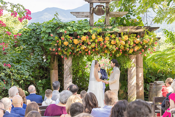 441-Daniel + Daniella Wedding