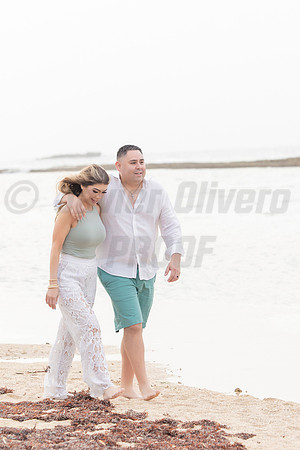 384-Vanessa Family