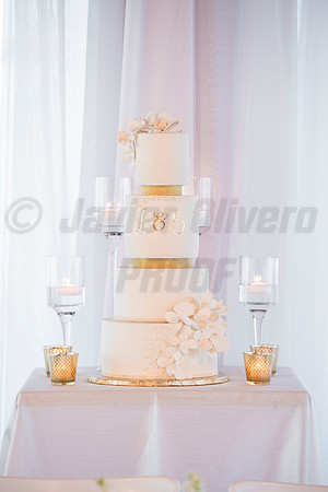293-Erica Luis Wedding