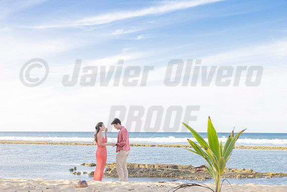 009-Travis proposal