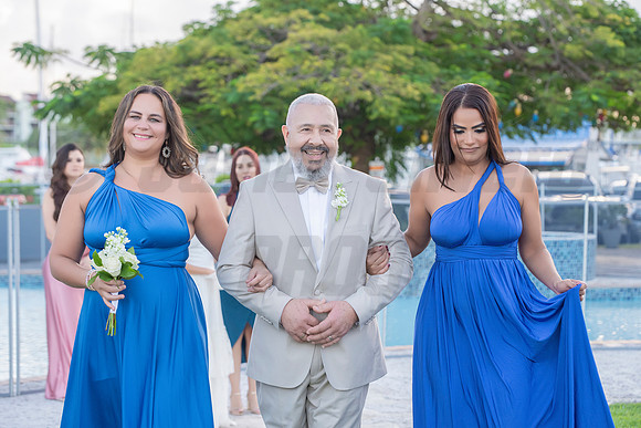 329-Erica Luis Wedding