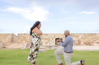 011-Mishank Proposal