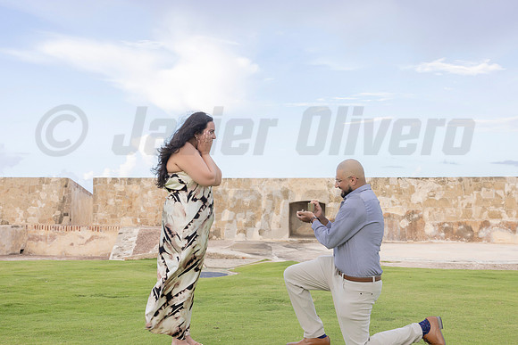 011-Mishank Proposal