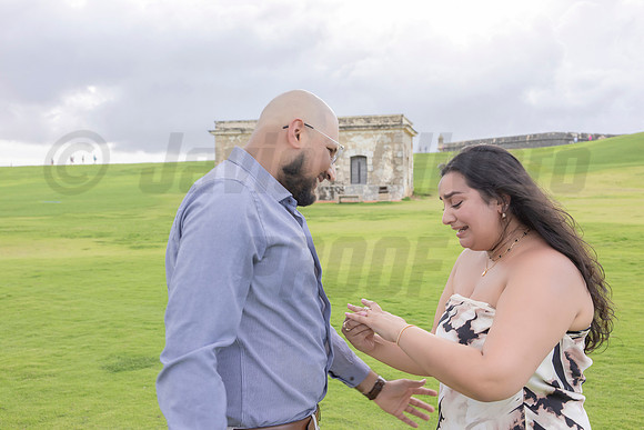 038-Mishank Proposal