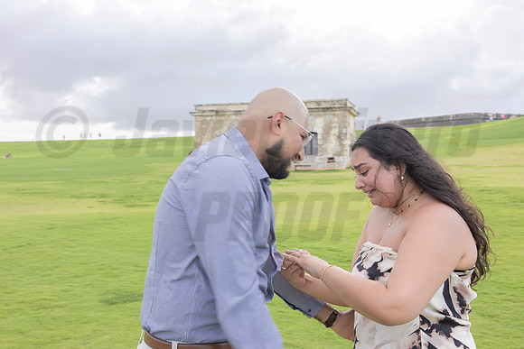 039-Mishank Proposal