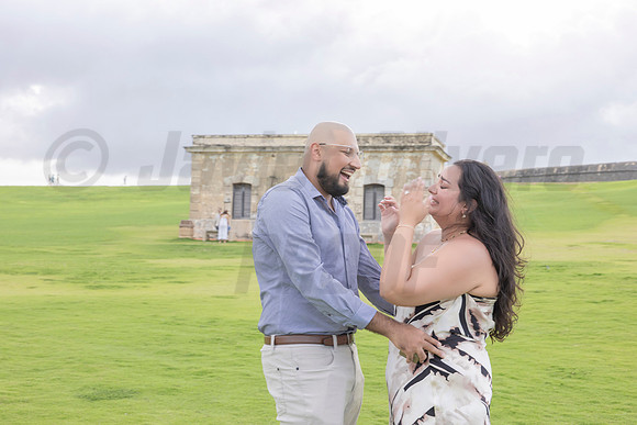 044-Mishank Proposal
