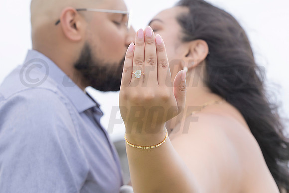 131-Mishank Proposal