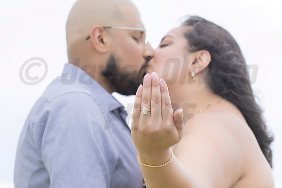 133-Mishank Proposal