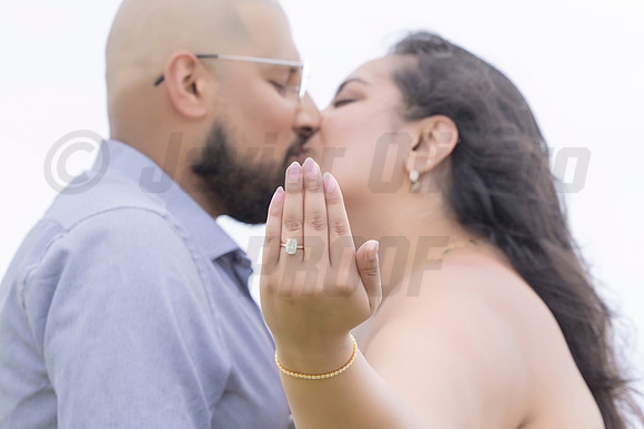 134-Mishank Proposal