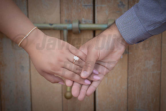 188-Mishank Proposal