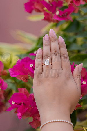 277-Mishank Proposal