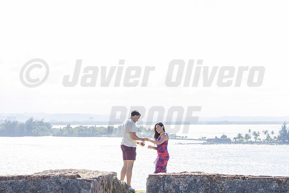019-Forrest Proposal