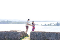 020-Forrest Proposal