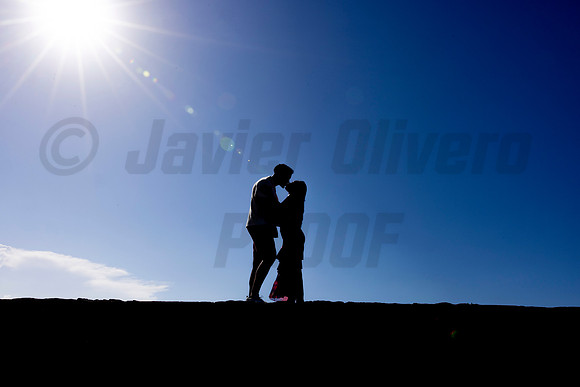 059-Forrest Proposal