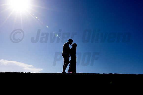060-Forrest Proposal