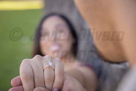 140-Forrest Proposal