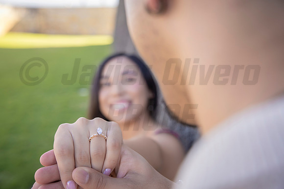 141-Forrest Proposal