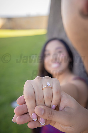 143-Forrest Proposal