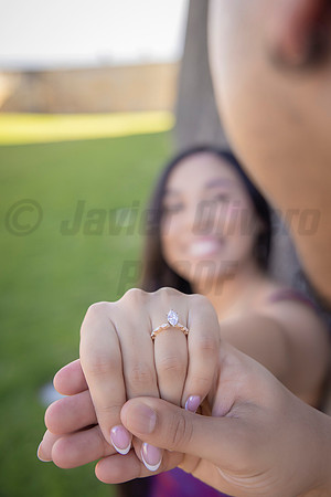 142-Forrest Proposal