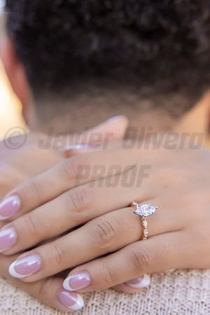 252-Forrest Proposal