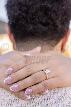 253-Forrest Proposal
