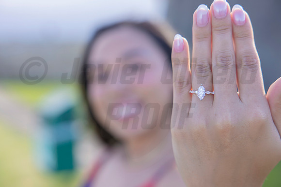 367-Forrest Proposal