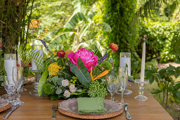 115-Vieques Weddings and Events