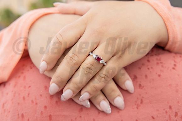310-Daniel Proposal