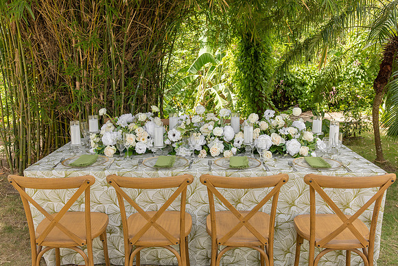 119-Vieques Weddings and Events