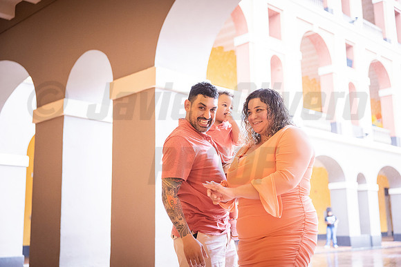 040-Daniel Proposal