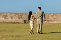 001-Nicholas proposal