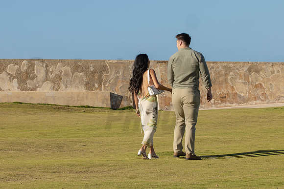 001-Nicholas proposal