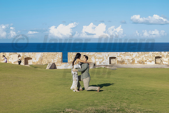 003-Nicholas proposal