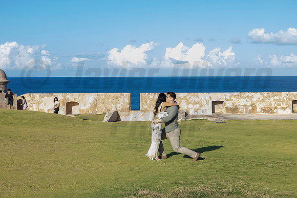 004-Nicholas proposal