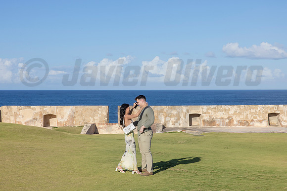 009-Nicholas proposal