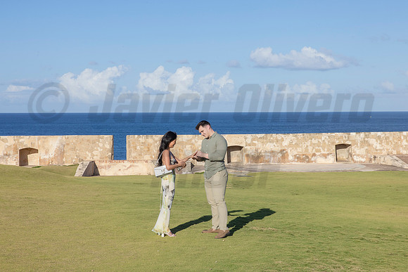 014-Nicholas proposal