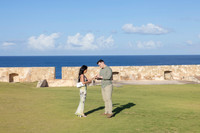 015-Nicholas proposal