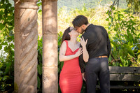015-Damien-Proposal