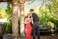 017-Damien-Proposal