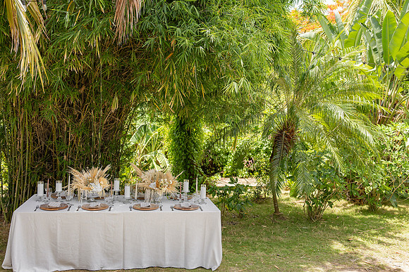 043-Vieques Weddings and Events