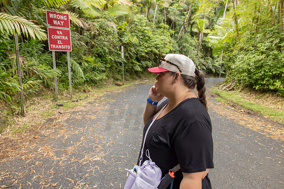 003-Day 2 - Mount Britton + Junglequi-
