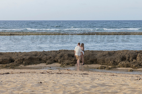 014-Nicholas proposal