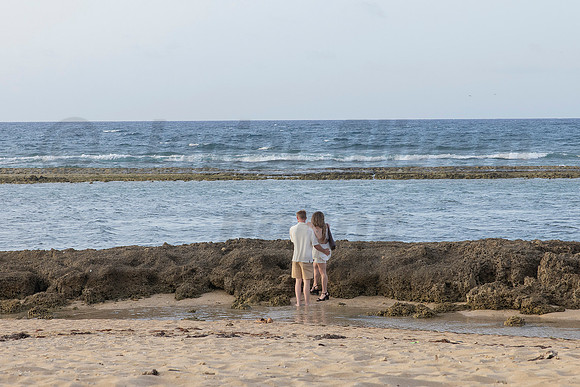 016-Nicholas proposal