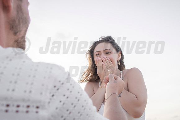 032-Nicholas proposal